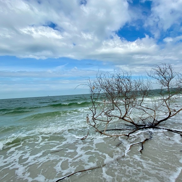 🐱 Join us for NWT share on Tuesdays, Wednesdays, Thursdays and Sundays 👩🏻🦰 - Picture 14 of 16